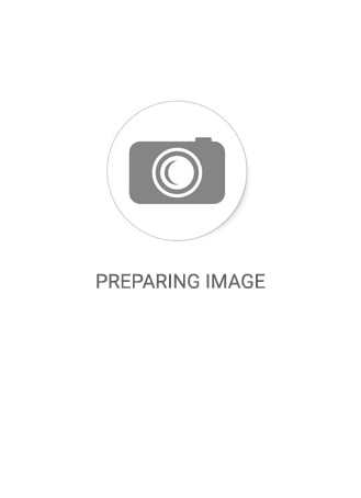 Dantelli Transparan Tül Detaylı Kadın Boxer Külot CH0205